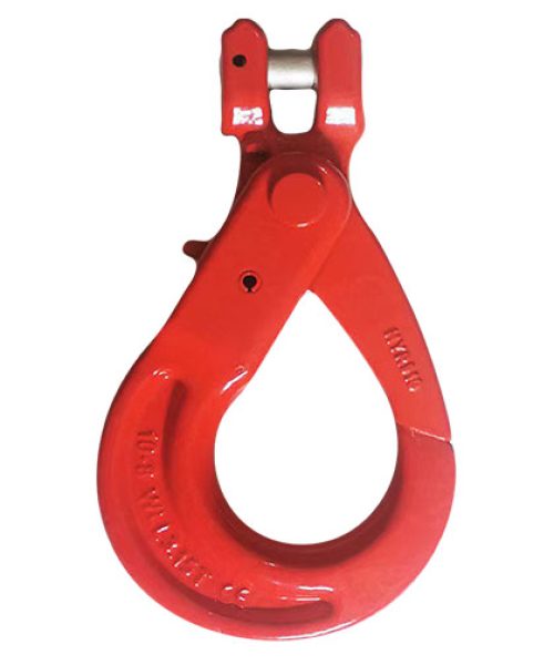 anh-thuc-te-moc-an-toan-yj-1