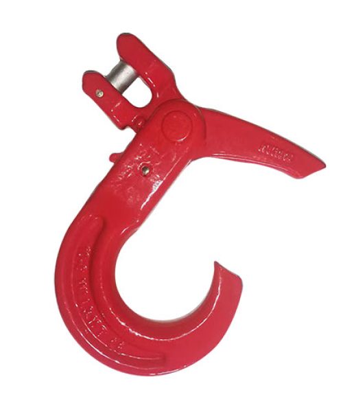 anh-thuc-te-moc-an-toan-yj-2