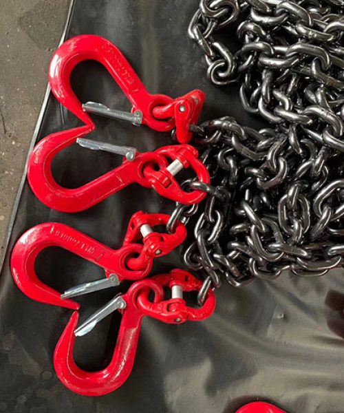 anh-thuc-te-moc-cau-hang-rong-luoi-ga-4