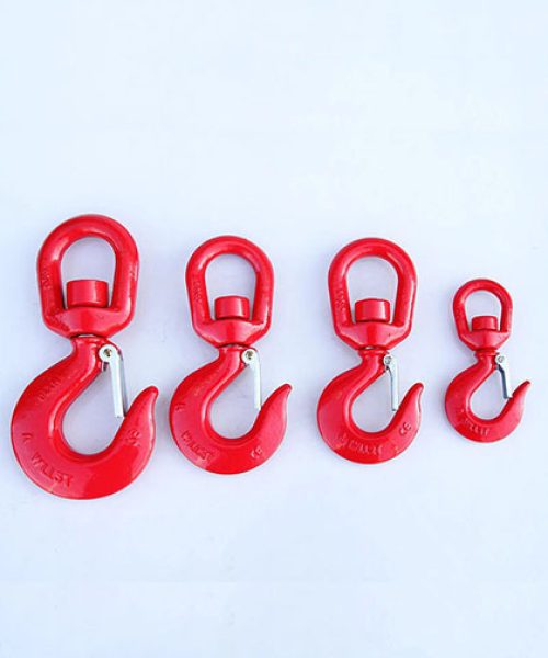 anh-thuc-te-moc-cau-xoay-2