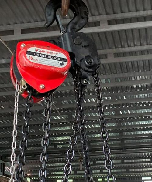 anh-thuc-te-pa-lang-xich-bison-10-tan-5m-2